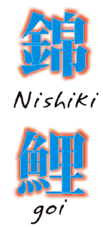 Nishikigoi
